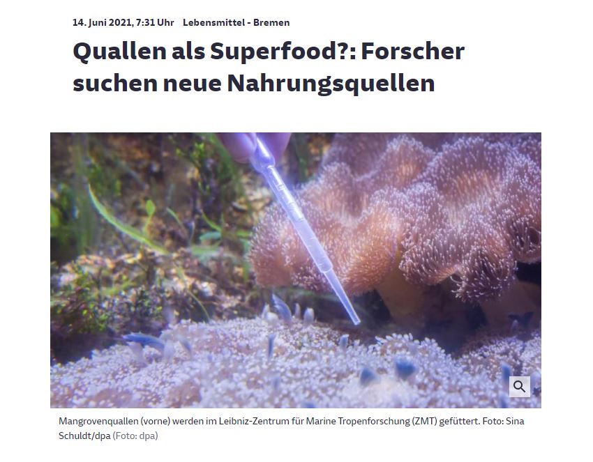 © Screenshot: SZ/dpa