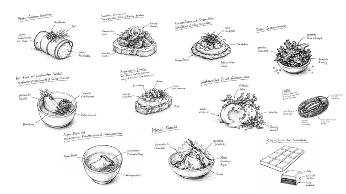 Kulinarische Vielfalt von Makroalgen (© R. Köster im Auftrag von food4future)