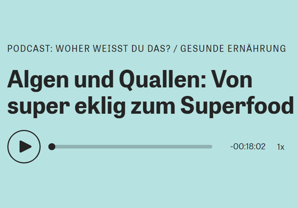Screenshot Podcast zeit.de (Screenshot gemacht am 26.07)