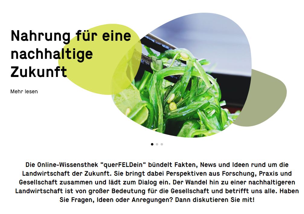 Screenshot der Startseite des querFELDein Blogs vom 03. Dezember 2020, Stockphoto Algensalat: © S. Hermann & F. Richter | Pixabay