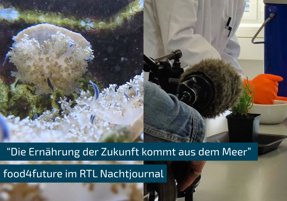 links: Screenshot aus Videoausnahmen - © M. Sabelhaus, ZMT; rechts: J. Vogt, IGZ