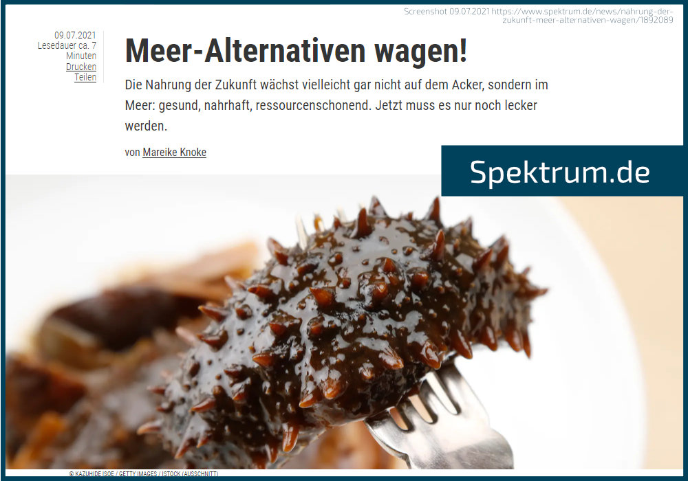 © Spektrum.de (Screenshot 07.09.2021)