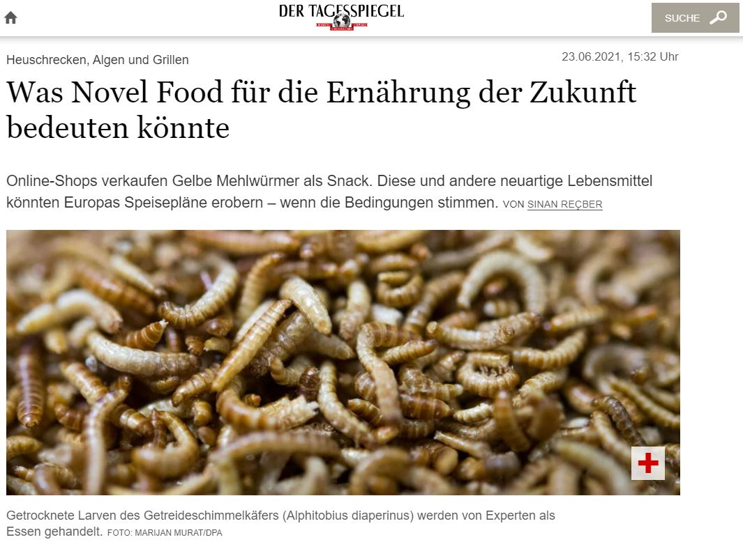 Screenshot © DER TAGESSPIEGEL