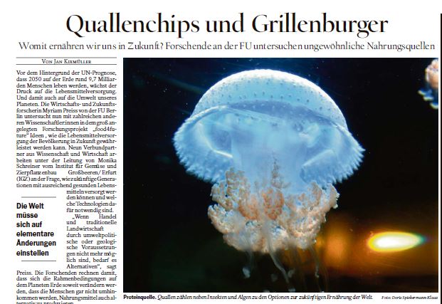 © DER TAGESSPIEGEL