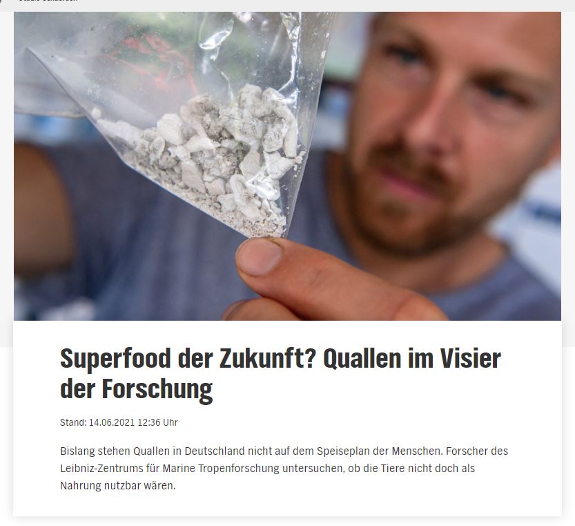 © Screenshot: ndr.de