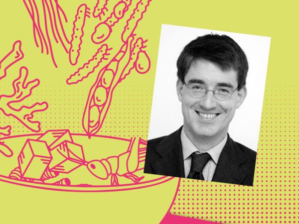Prof. Dr. Tilman Brück, IGZ