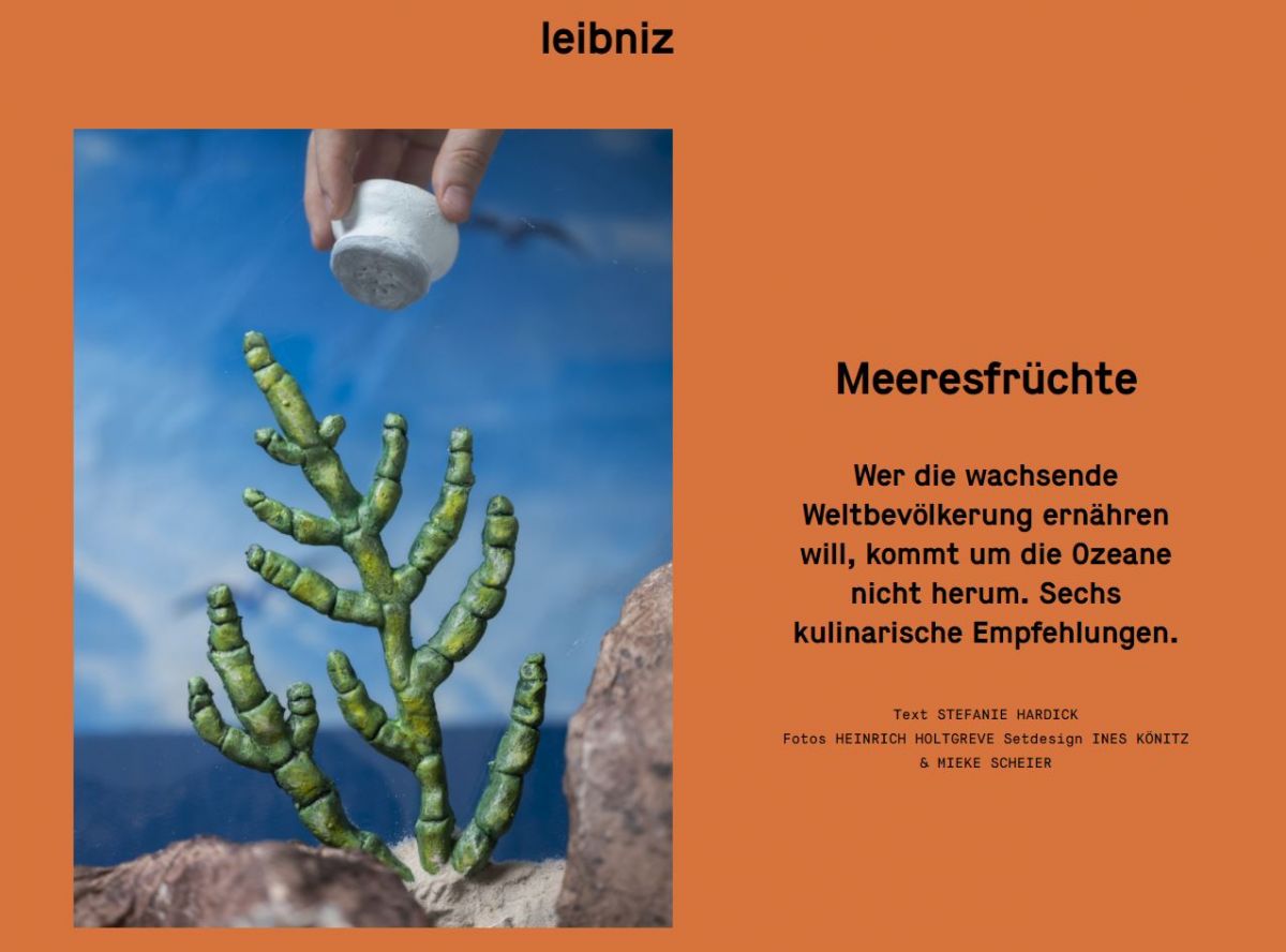 © Leibniz Magazin
