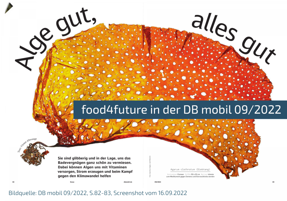 Bildquelle: DB mobil Ausgabe 09/2022, Seiten 82-83