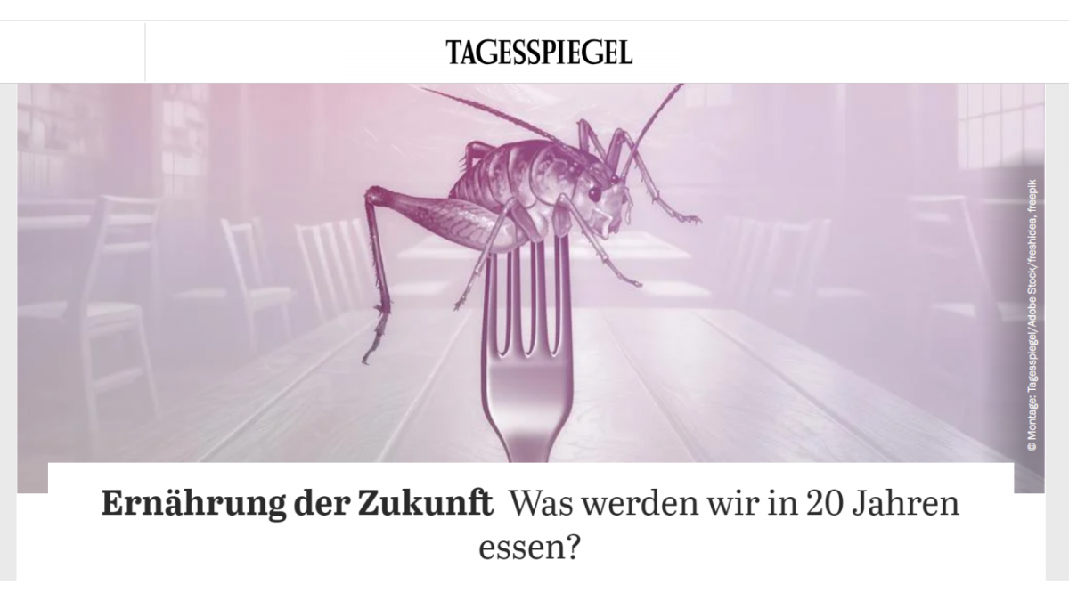 Screenshot vom Artikel (12.09.2023)