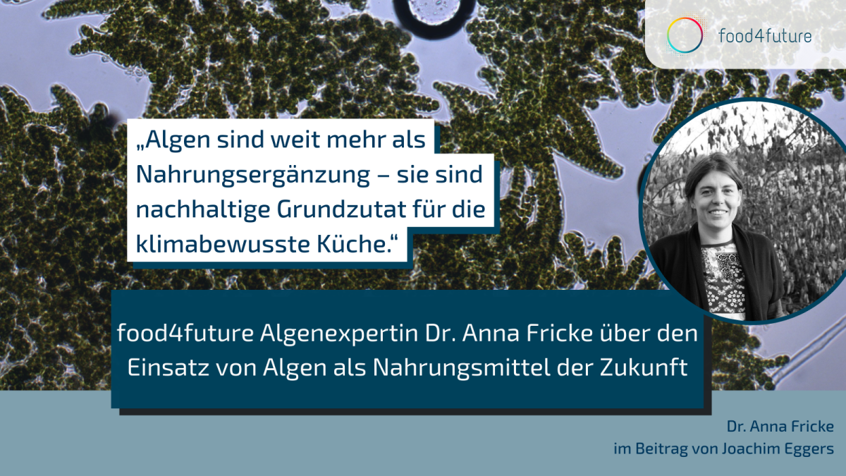 Dr. Anna Fricke im Beitrag der AD HOC NEWS