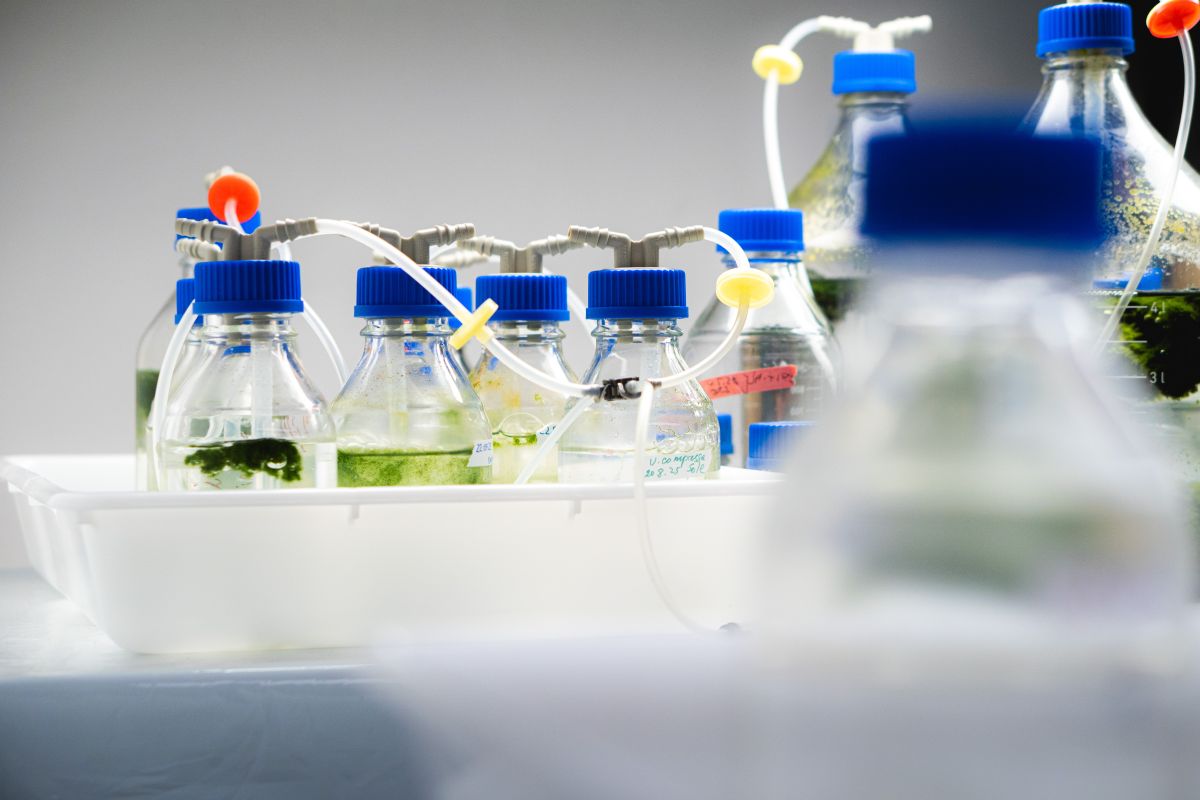 Wissenschaftliche Untersuchungen bilden die Grundlage für Stofflisten und regulatorische Orientierung (Foto © J. Duderstädt, HTW).